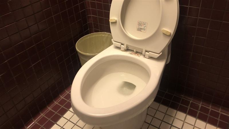 尿垢刷不掉免煩惱 網激推這款刷馬桶好物