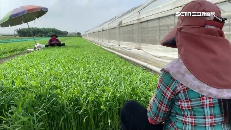 9/23迎接秋分 命理專家曝4禁忌