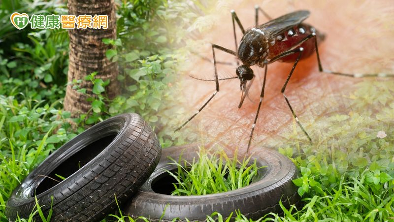 助登革熱防治更精準! 「基因+空間分析」破解病媒蚊擴散路徑