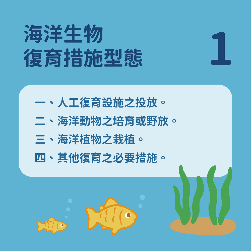 海洋生物復育行動制度化 海保署:可強化監督效能 3A16F119 0689 4ED7 A10C 19F1A886B177