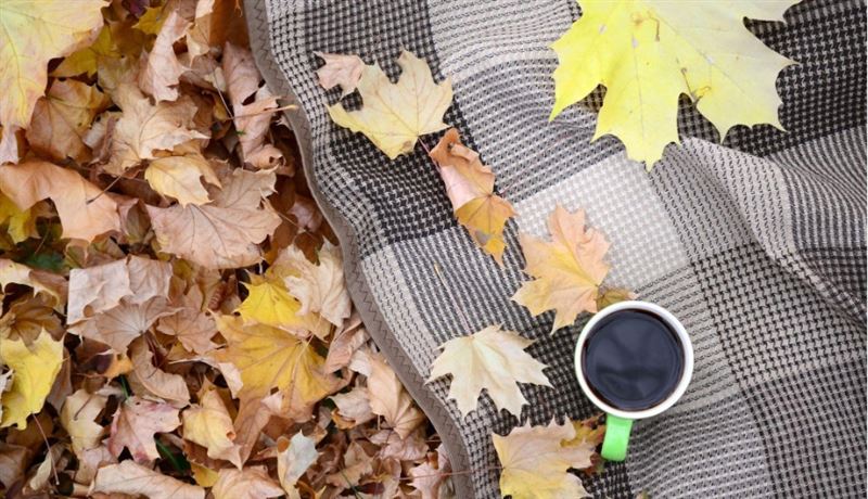 秋分到!命理專家提醒4生肖要避災