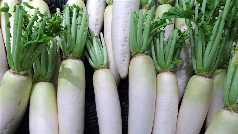 網友實測推薦!喝 「白蘿蔔梅干湯」清腸 3天瘦1.5KG