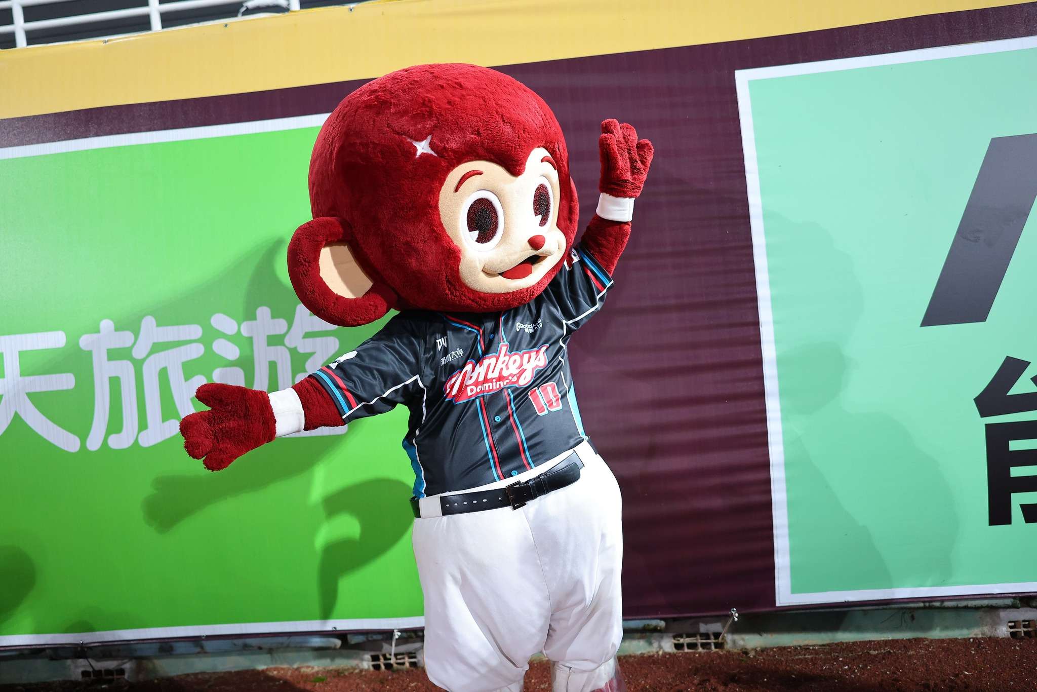 中壢、平鎮人免費看棒球!樂天桃猿9/16、9/18推出區民招待日