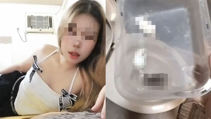 疑似鬧分手 泰女將10隻倉鼠沖馬桶洩憤
