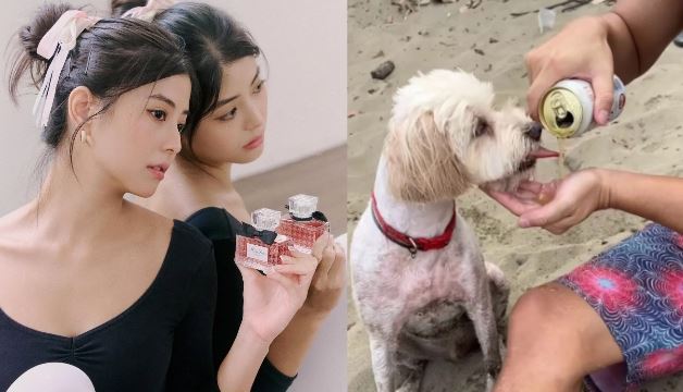 魏如萱MV情節遭質疑 網友怒斥「不該餵狗喝酒」