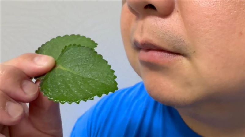 7旬男誤信偏方 吃1物治咳嗽竟大小便失禁