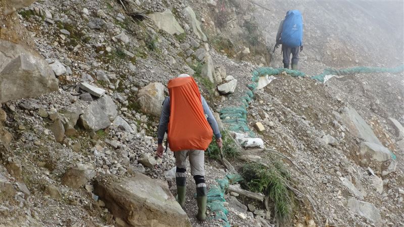 找工作注意!森林護管員招考報名開跑 月薪上看4.9萬