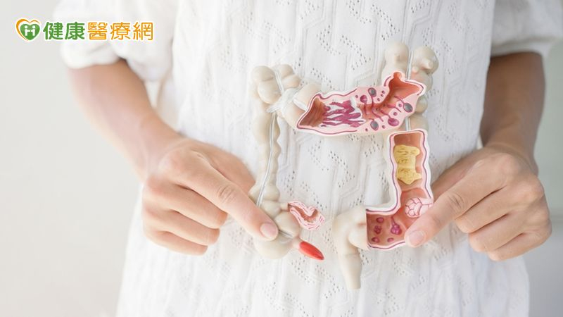 腸道竟藏預防失智關鍵? 台灣團隊登國際期刊PNAS