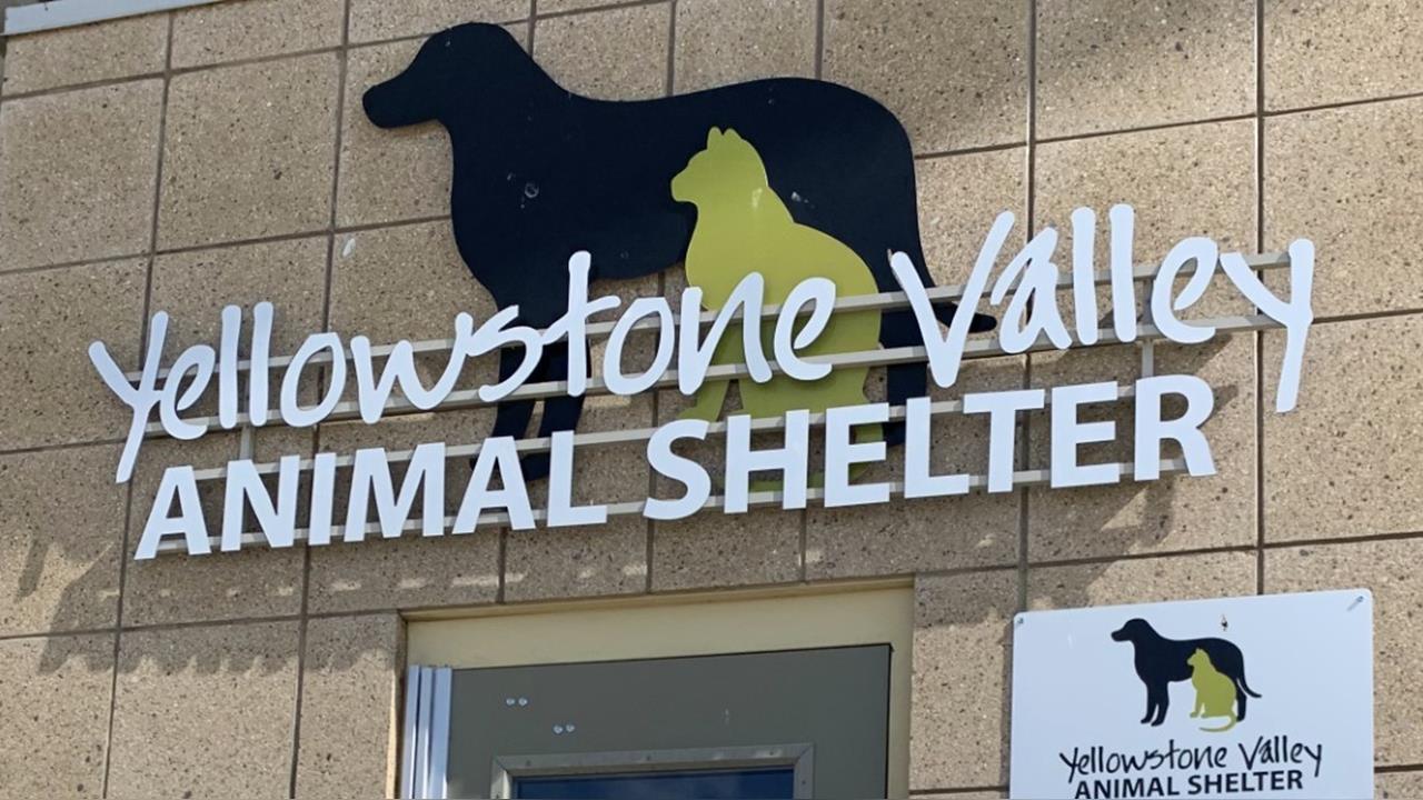 扯！FBI銷毀冰毒 濃煙倒灌害14人75貓狗被迫吸毒