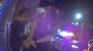 車內僵持拒下車 八德警盤查逮毒品通緝犯送辦