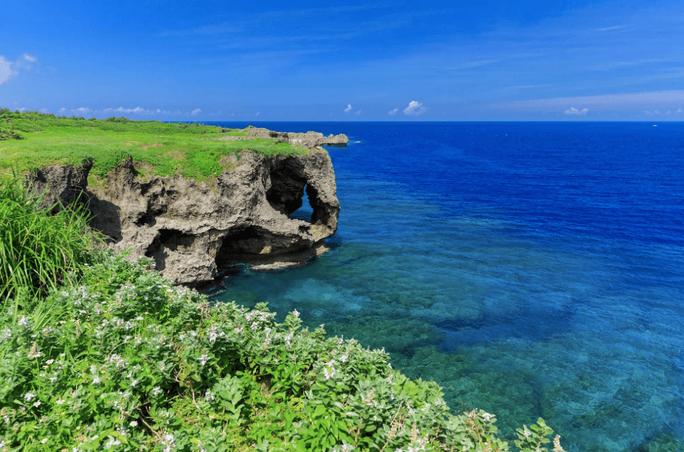 籲台人遊日務必投保！　駐日代表處分享3案例「醫療專機費用達百萬」