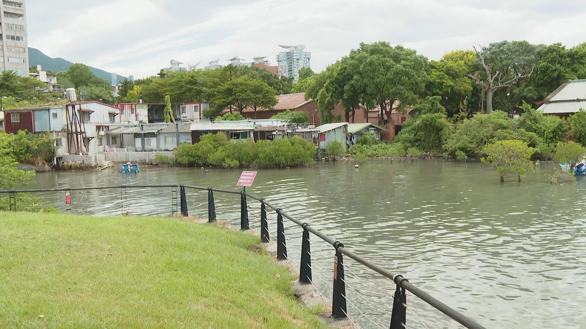 失蹤9旬老婦竟遭裝箱棄屍紅樹林 媳婦:驟逝不知如何處理