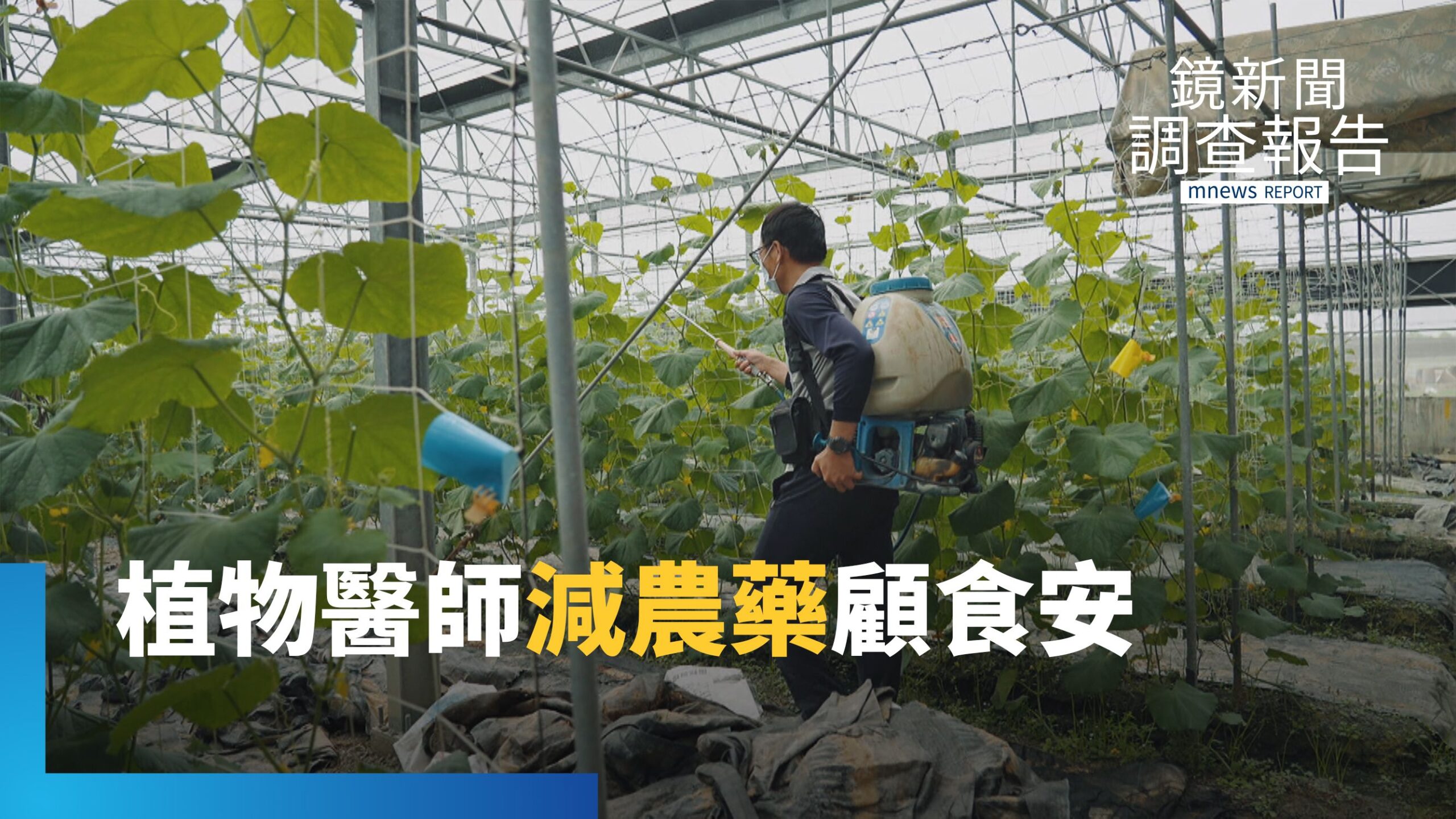 為作物土壤抓病灶 植物醫師減農藥顧食安