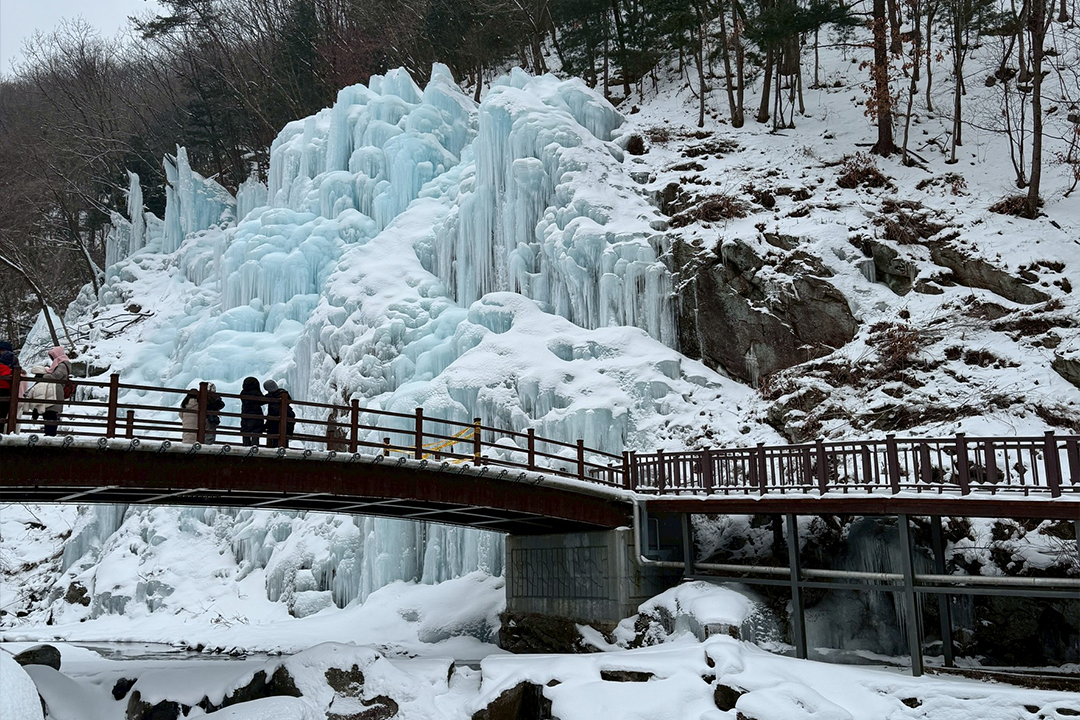暢遊首爾!暢遊旅行社韓國滑雪+韓服宮殿冬遊開賣 限時最低2萬元有找 瘋狂搶訂中 106002