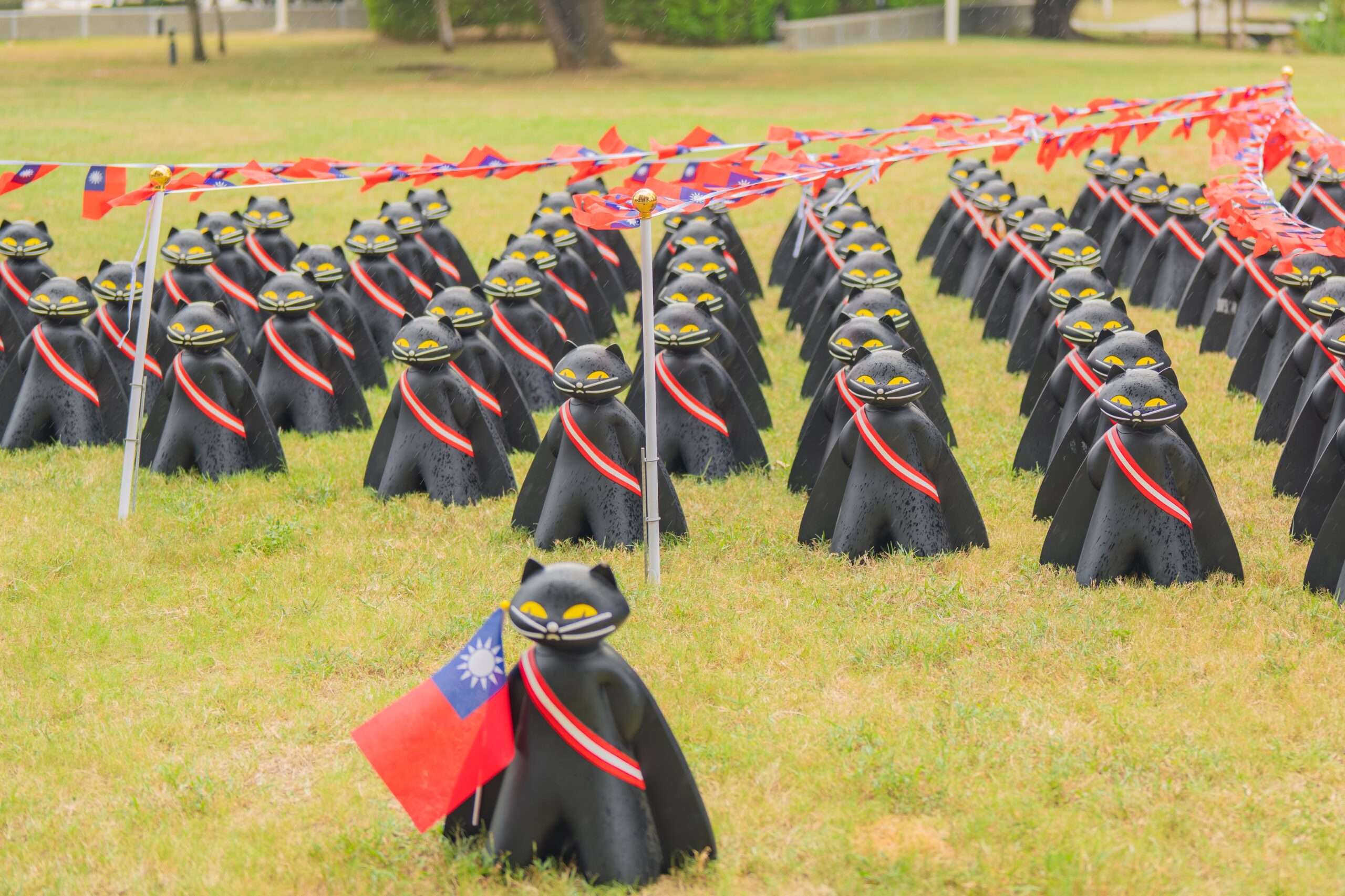 光輝十月!桃園逾6000面國旗飄揚 風禾公園「黑貓中隊」超吸睛 1141008民政局國慶日黑貓中隊打卡熱點詩凱6 scaled