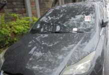 桃園分署聯合拍賣會10/7登場!福特轎車、股票等你帶走