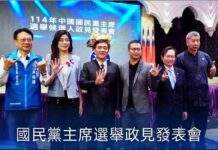 桃論|DNA才是國民黨主席選舉的潛規則