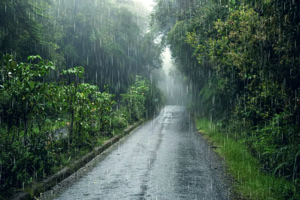 共伴效應挾豪雨來襲!桃園復興區土石流警戒 13戶預防性撤離 共伴效應挾豪雨來襲!桃園復興區土石流警戒 13戶預防性撤離