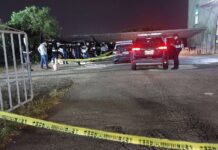 【有片】通緝犯藏桃園拒捕逃竄!妻竟駕車撞警車右腿慘中彈