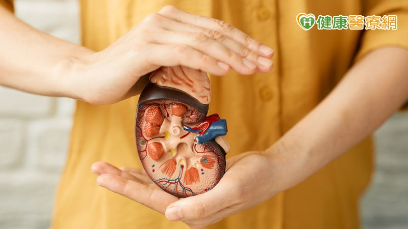 換腎仍可圓「生子夢」 跨科照護全面性諮詢母子平安健康