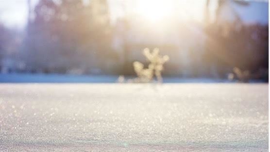 寒露來了!4生肖準備接住好運 職場上順風順水
