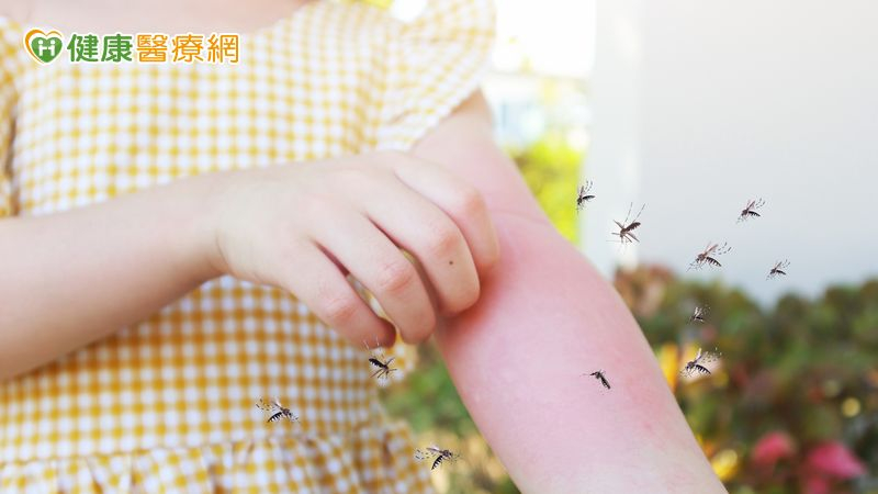 國內新增3例本土登革熱病例 疾管署:今年累計達20例