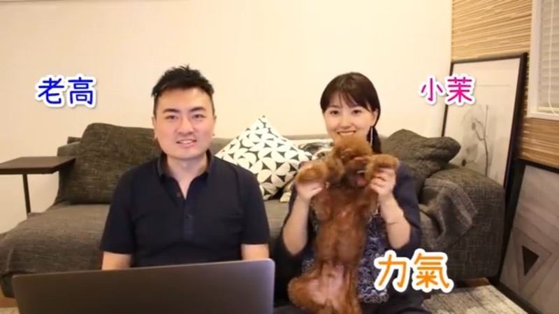 「老高與小茉」為愛犬無限期停更 親吐「情況不是很樂觀」