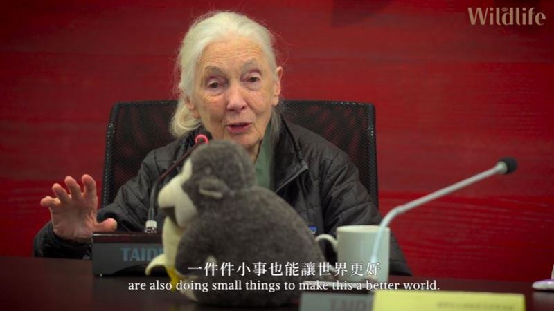 「黑猩猩之母」珍古德辭世 遺願竟是送馬斯克、習近平到外星