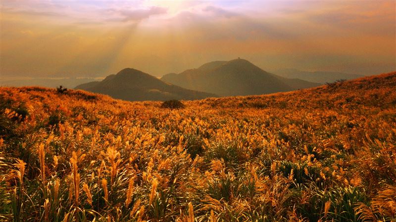 國慶連假出遊懶人包 全台賞景秘境一次看