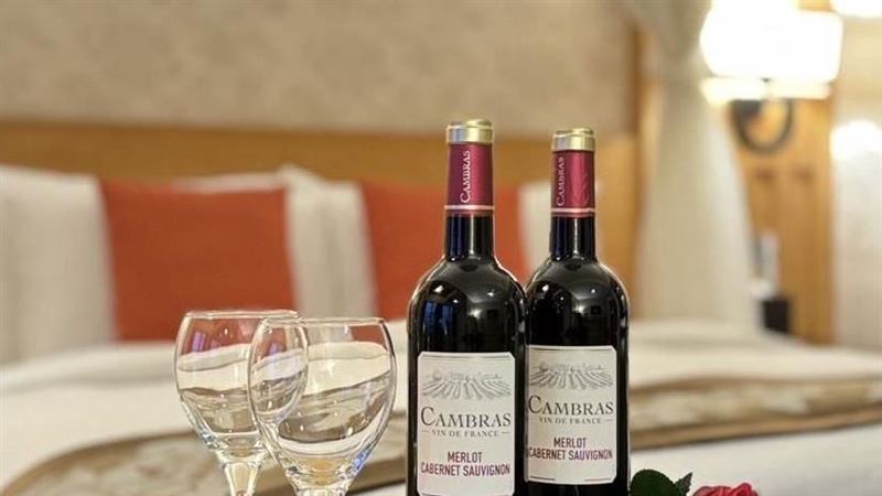 紅酒入列護腦食物?醫師曝「一飲食原則」維持腦力