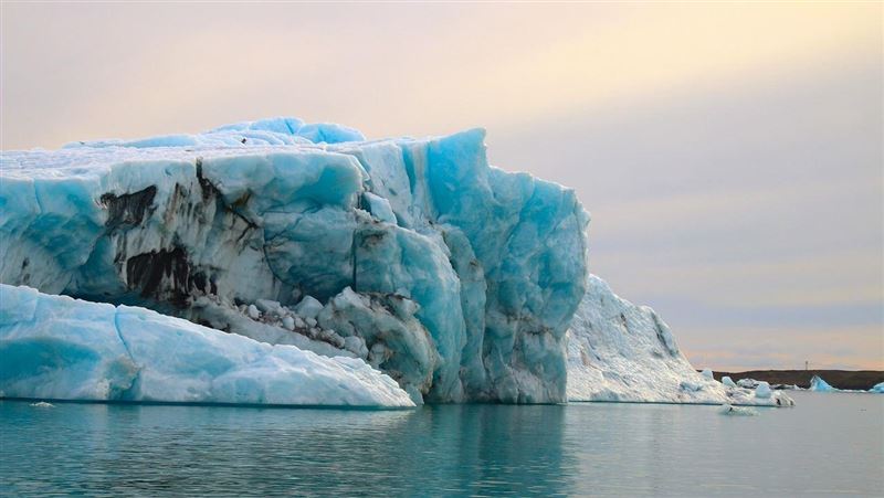 全球唯一淨土淪陷了!冰島首次發現蚊子