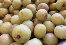 維生素C贏檸檬20倍!醫師大讚泌尿道、攝護腺的守護者