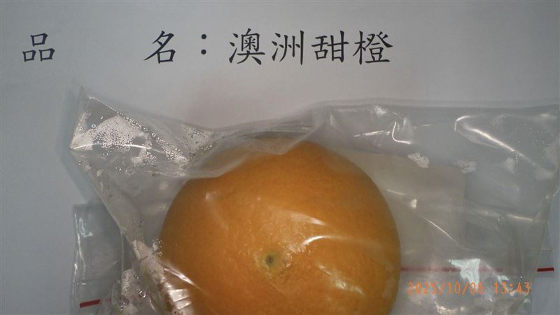 農藥超標!好市多1水果18公噸全銷毀