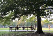 副刊/日常流動而恆常的風景