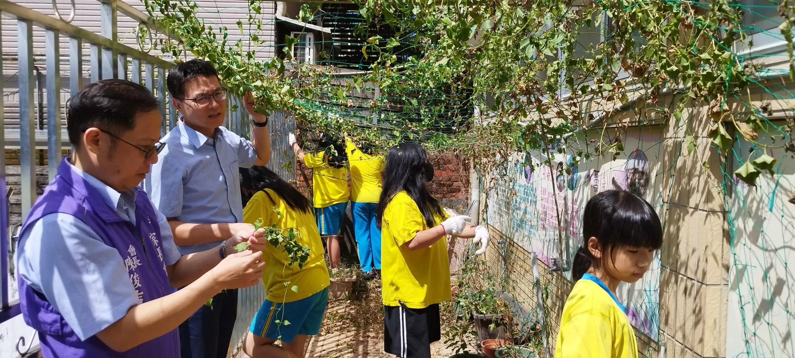 桃市龍岡國小校園出現「小花蔓澤蘭」 學童參與清除認識生態教育 653981 0 scaled
