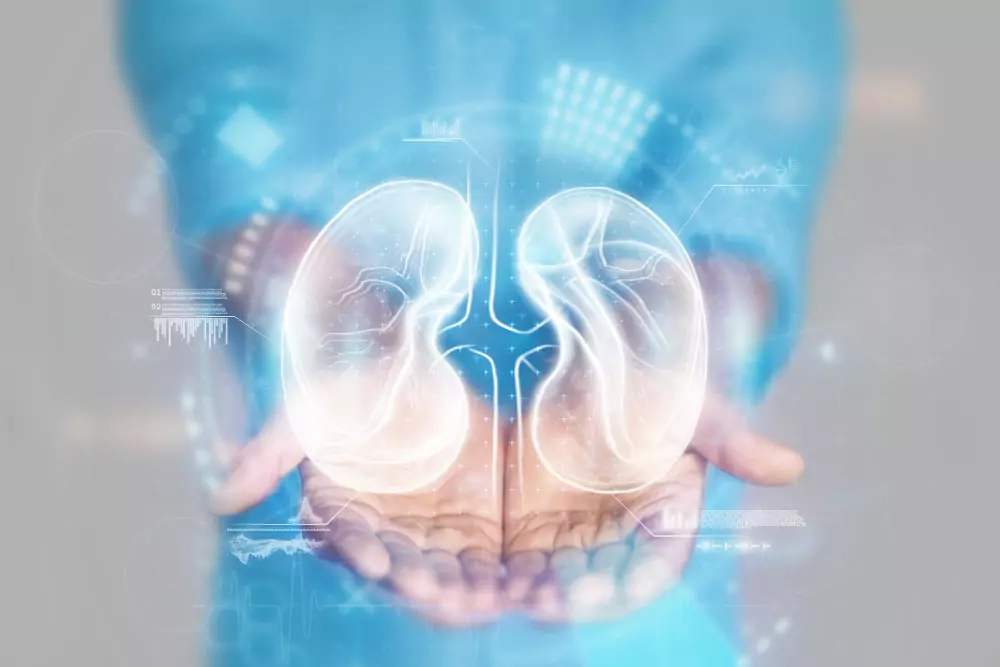 腎指數亮紅燈別慌 醫囑連3到6個月偏離才是警訊 腎指數亮紅燈別慌 醫囑連3到6個月偏離才是警訊