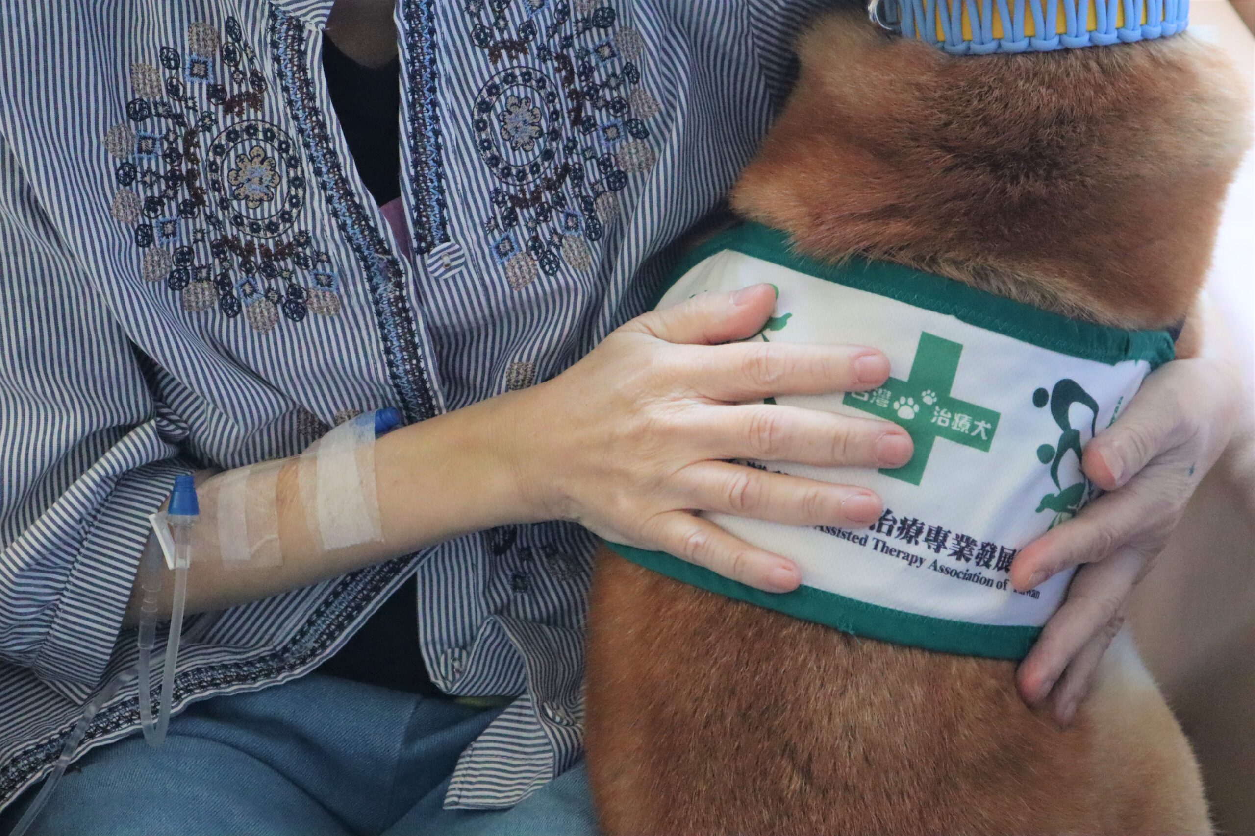 桃園醫院響應世界安寧日 動物輔助、藝術治療暖心陪伴病患 IMG 5599 0 scaled