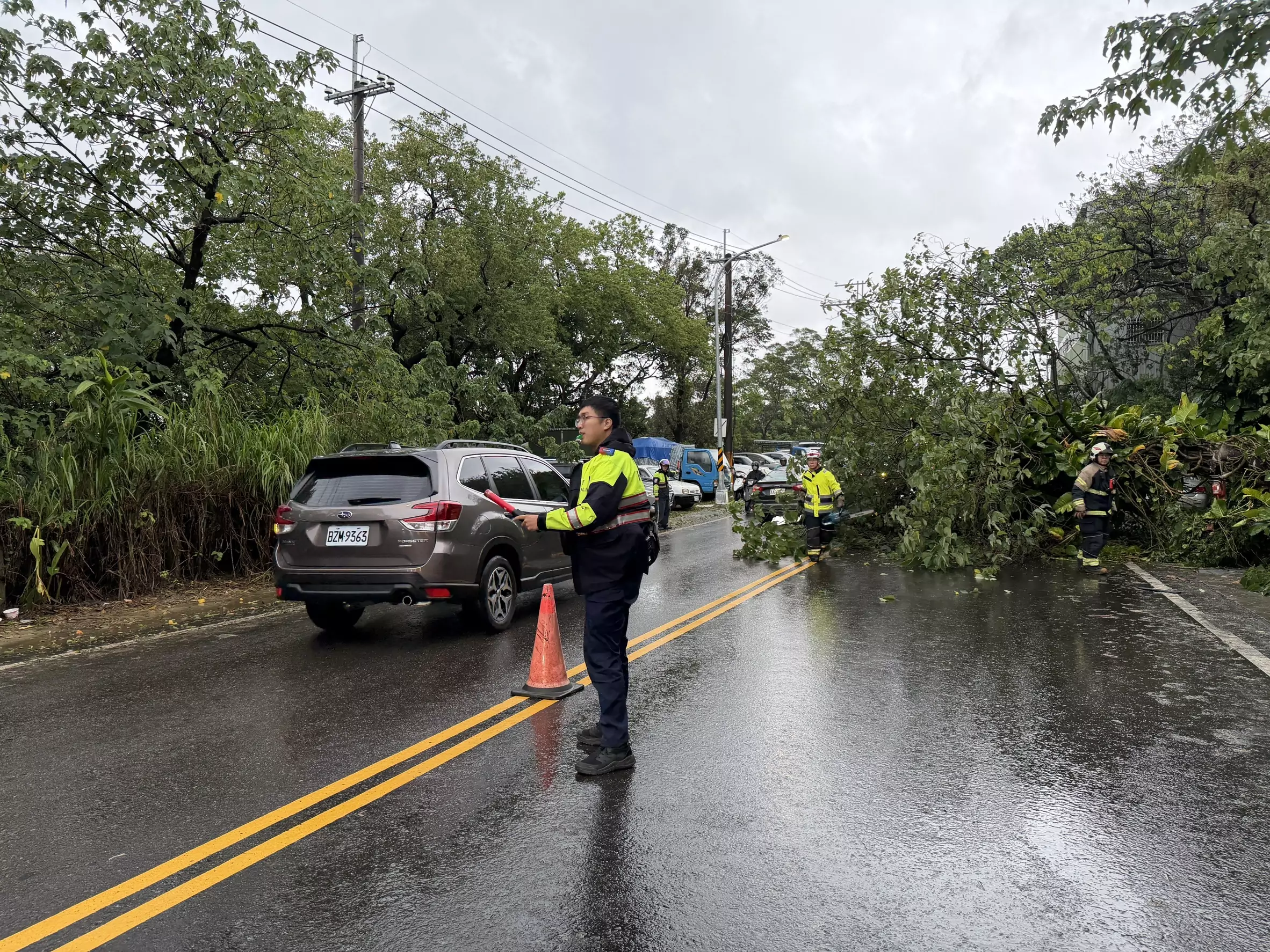 龜山清晨路樹倒塌占車道 警消火速排除恢復通行 龜山清晨路樹倒塌占車道 警消火速排除恢復通行