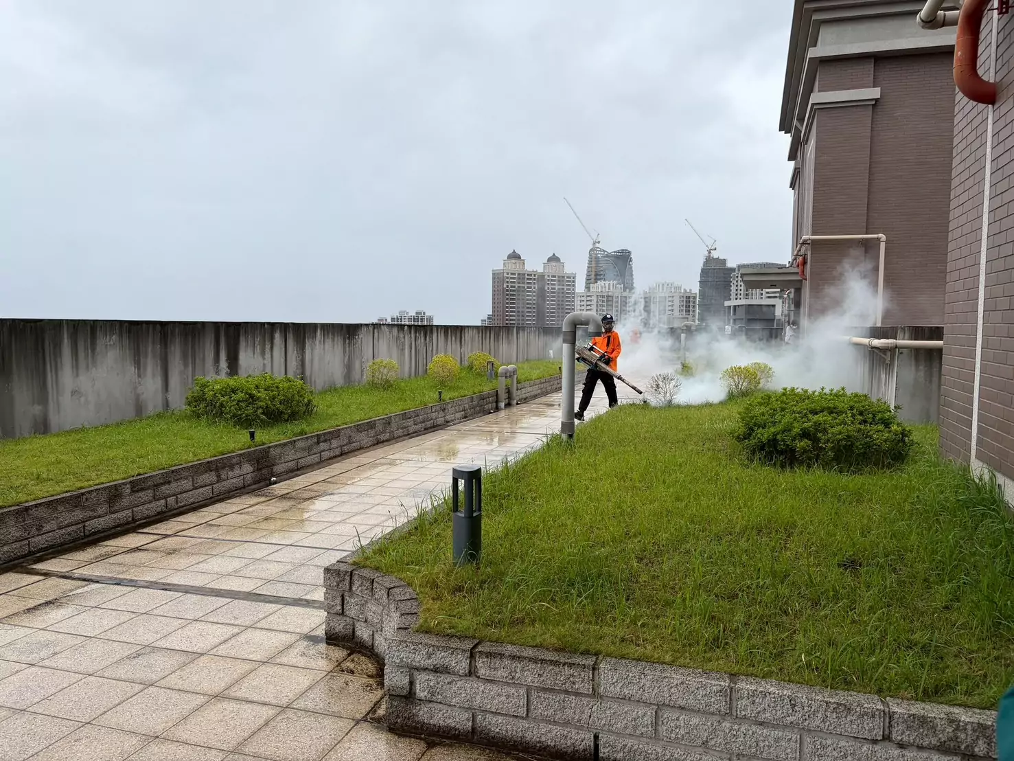 桃園本土登革熱累計7例 衛生局:有這些症狀快就醫 桃園本土登革熱累計7例 衛生局:有這些症狀快就醫