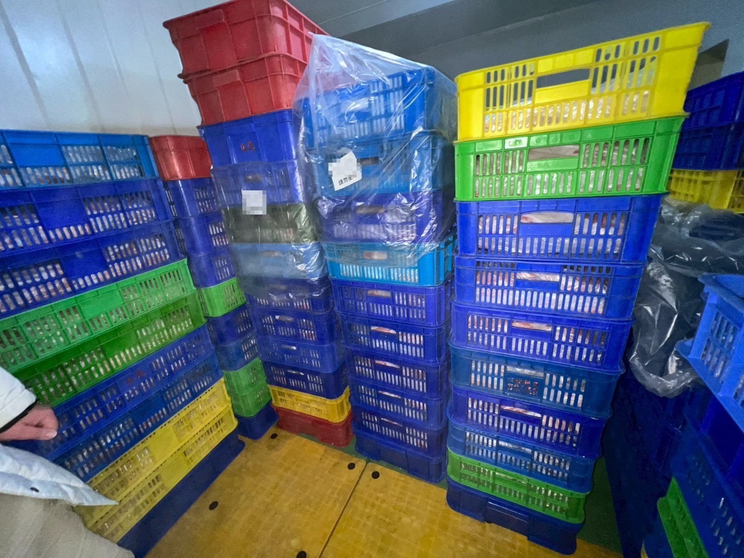 台中梧棲畜牧場豬肉流入桃園食品廠!405公斤動向全曝光 S 153288878
