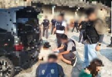 中壢警跨縣市聯手攻堅 苗栗山區逮通緝犯起獲930公克毒品