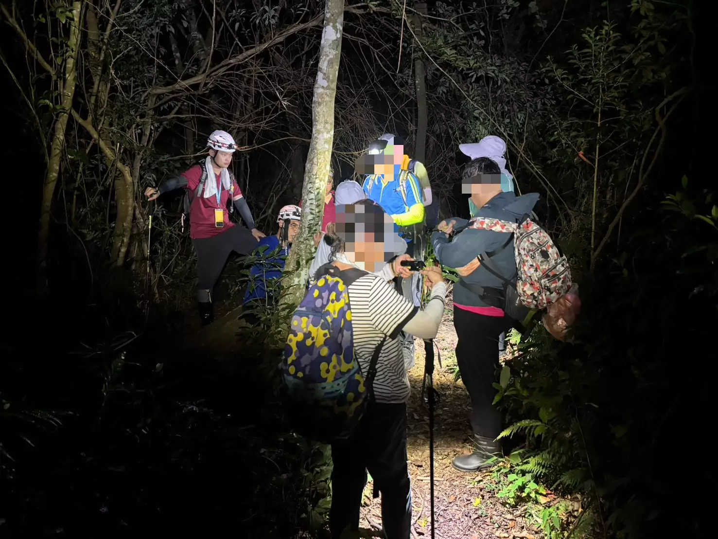 大溪白石山6人迷失方向 消防緊急上山救援 大溪白石山6人迷失方向 消防緊急上山救援