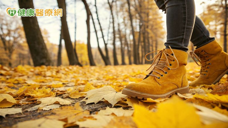 散步能養大腦?10年追蹤研究:長期步行者反應更快 認知功能更清晰