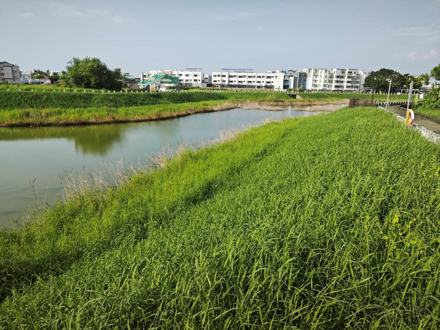 降低豪大雨淹水風險 柳營櫻花社區抽水站2026年完工啟用