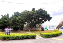 台中「潛力區」被低估?單價百萬買地不手軟 區域房價正「被重估」