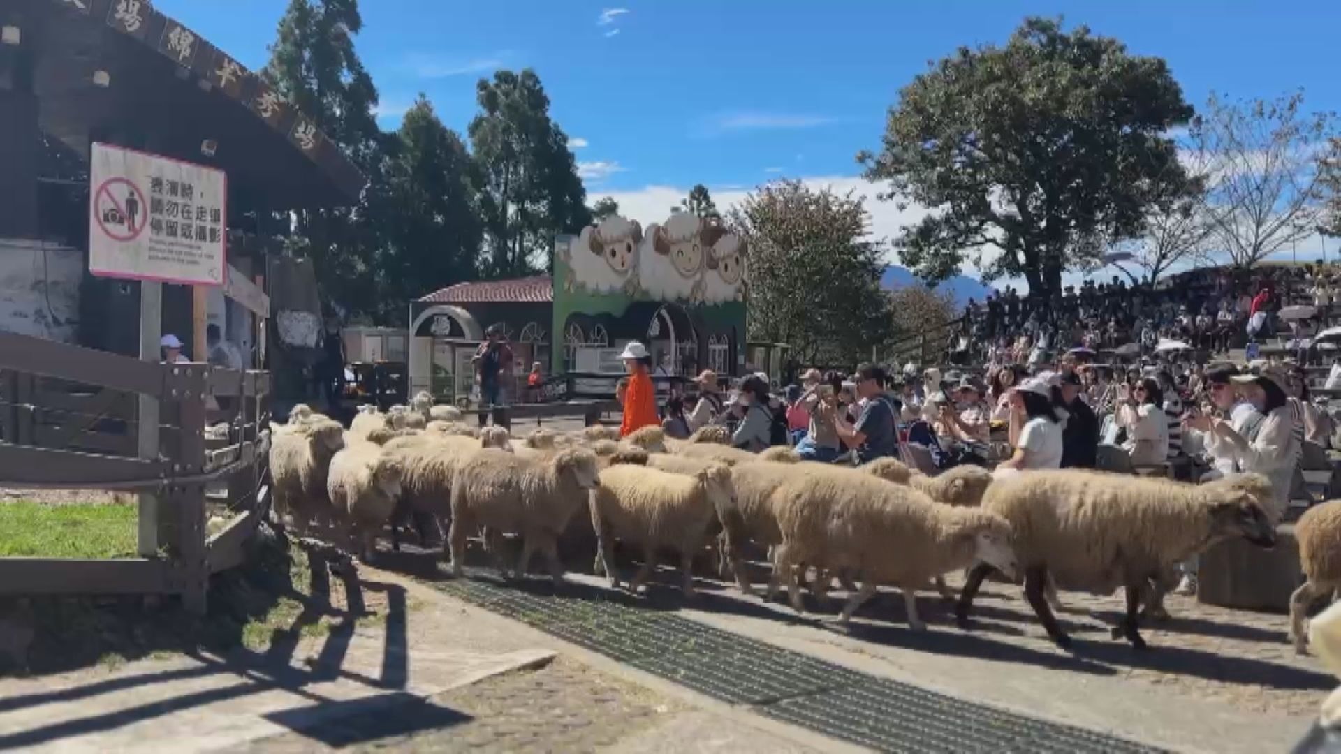 佳節不得安寧 災情亂象頻傳5/中秋連假「國旅」景點爆滿 清境農場預估破萬人