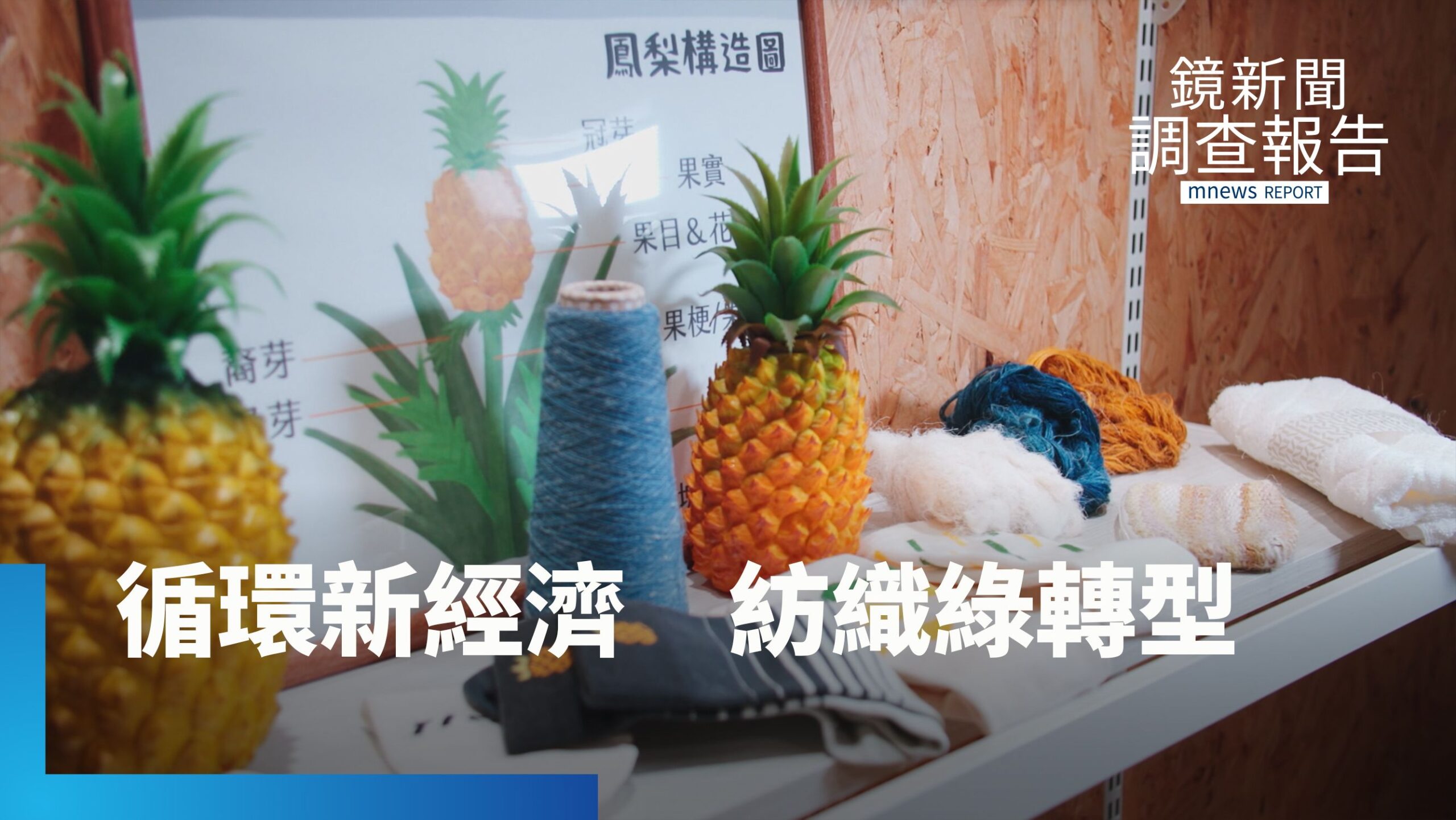 農廢成金 鳳梨葉纖維成紡紗綠原料 台灣紡織業研發自動化技術 降成本領先全球|解密綠行動