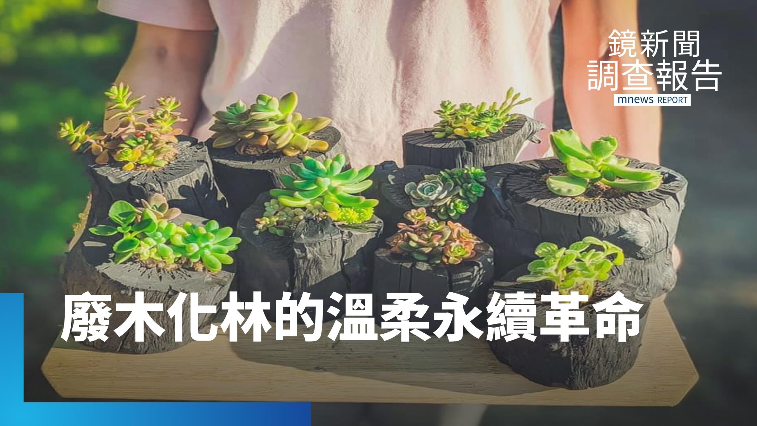 老炭廠重生 修枝木蛻變 木酢液、炭盆栽、木製家具 陳偉誠「與木共生」的溫柔信念|解密綠行動