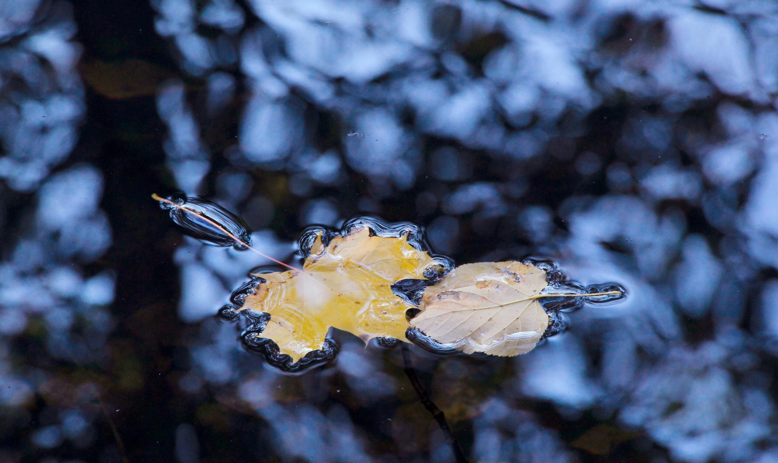 竹北1歲半女童跌生態池溺斃 主打「親近自然」幼兒園遭疑疏失