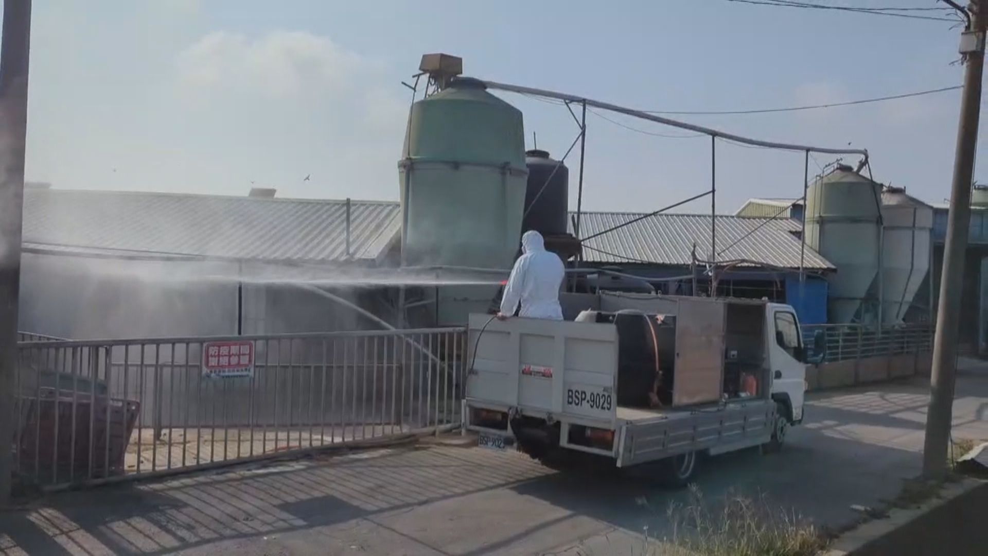 疫場28豬流三縣市急追 守台灣豬全面防堵5/廚餘恐成破口 北北基彰化台南廚餘送焚化爐銷毀